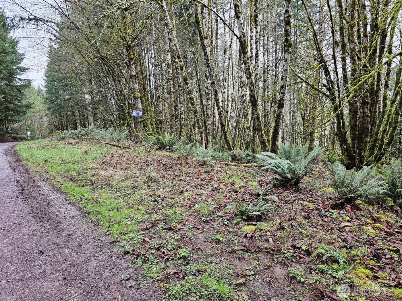 461 Clearwater Road , Kelso, WA 98626