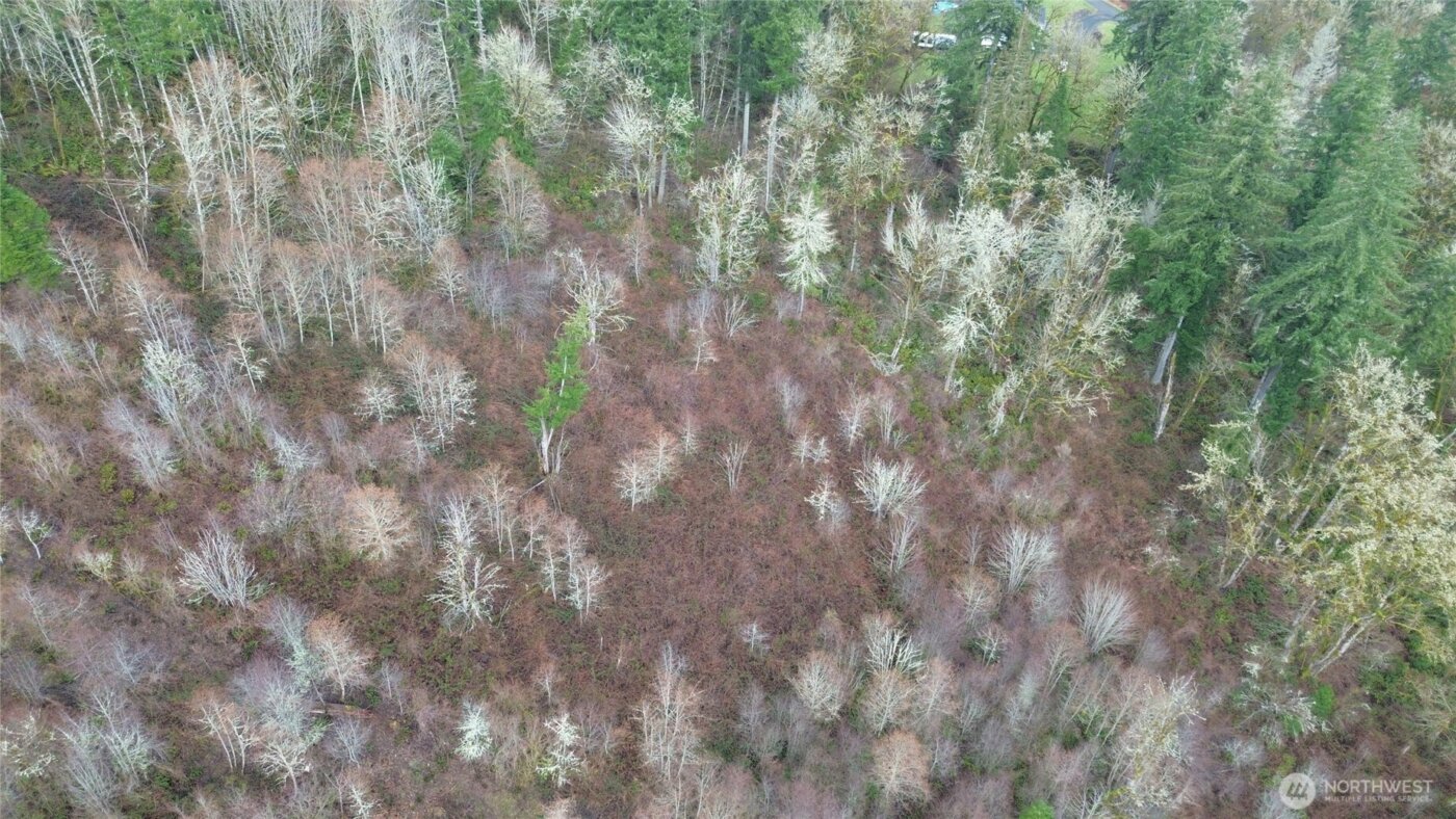 461 Clearwater Road , Kelso, WA 98626