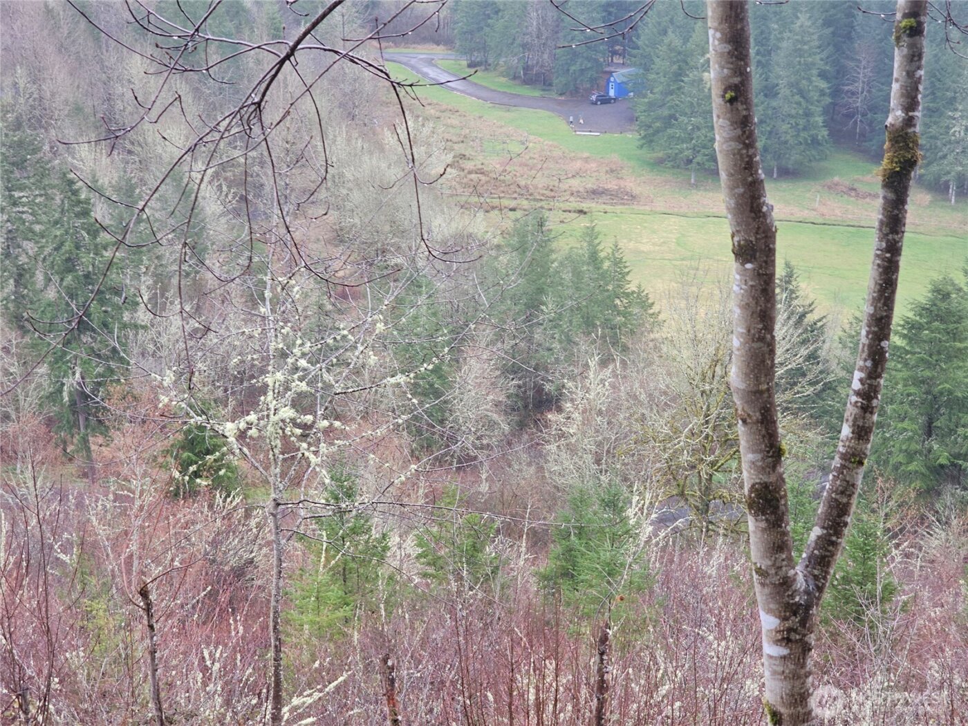 461 Clearwater Road , Kelso, WA 98626