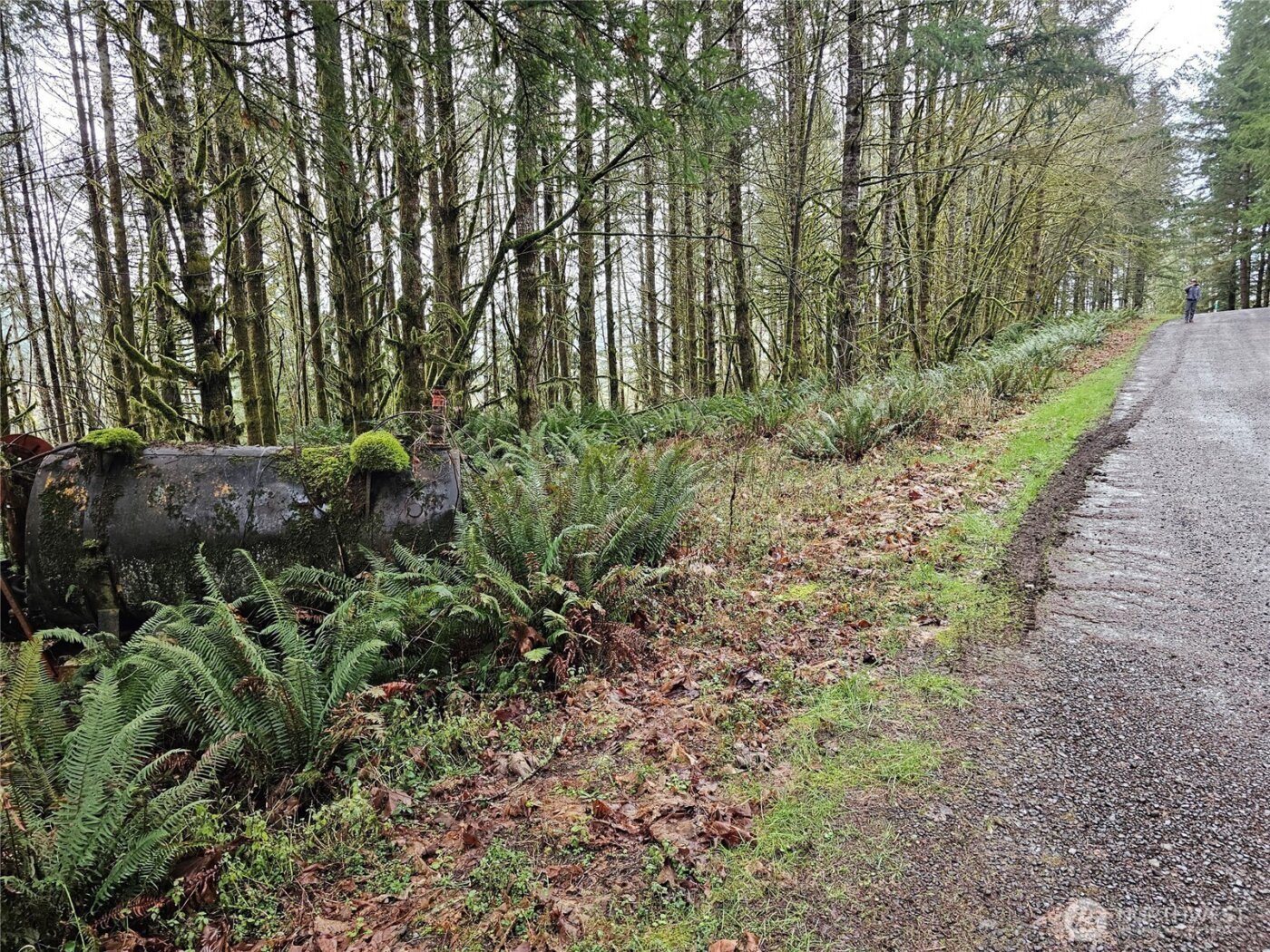 461 Clearwater Road , Kelso, WA 98626