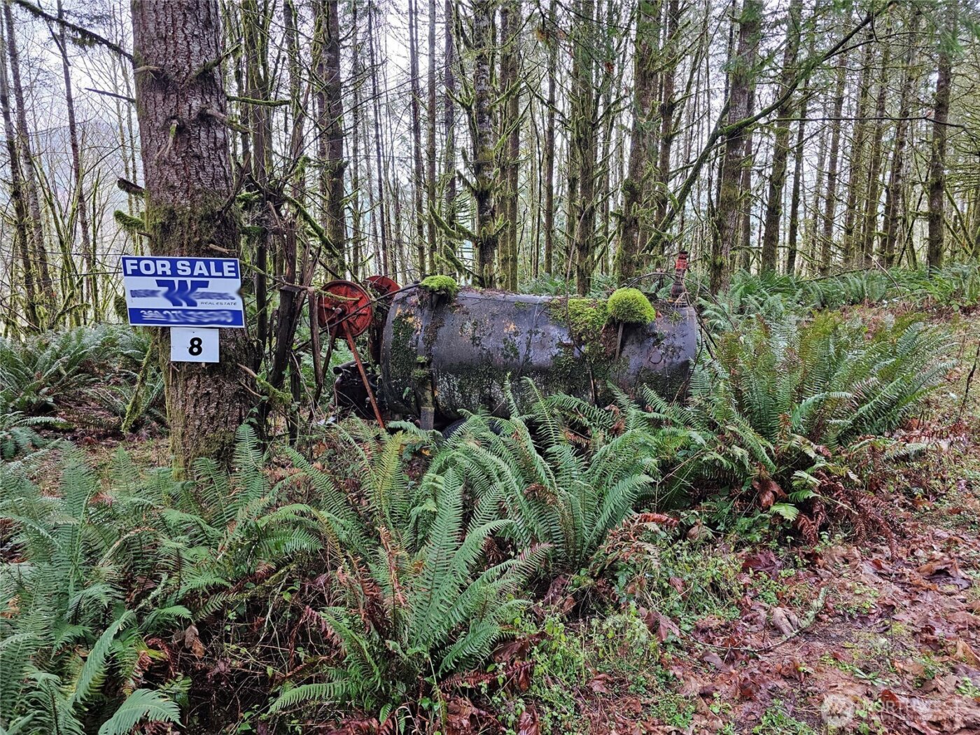 461 Clearwater Road , Kelso, WA 98626