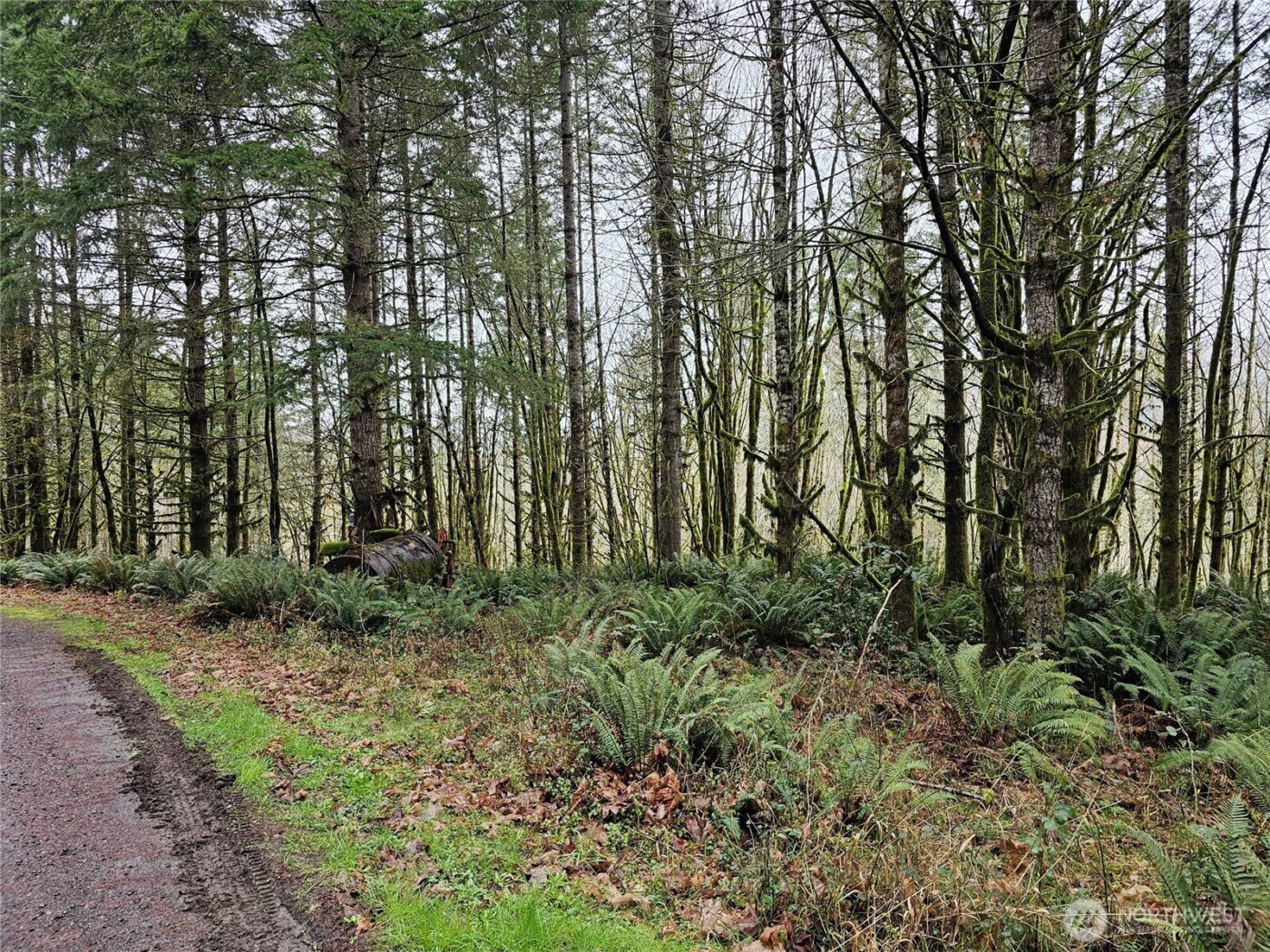 461 Clearwater Road , Kelso, WA 98626