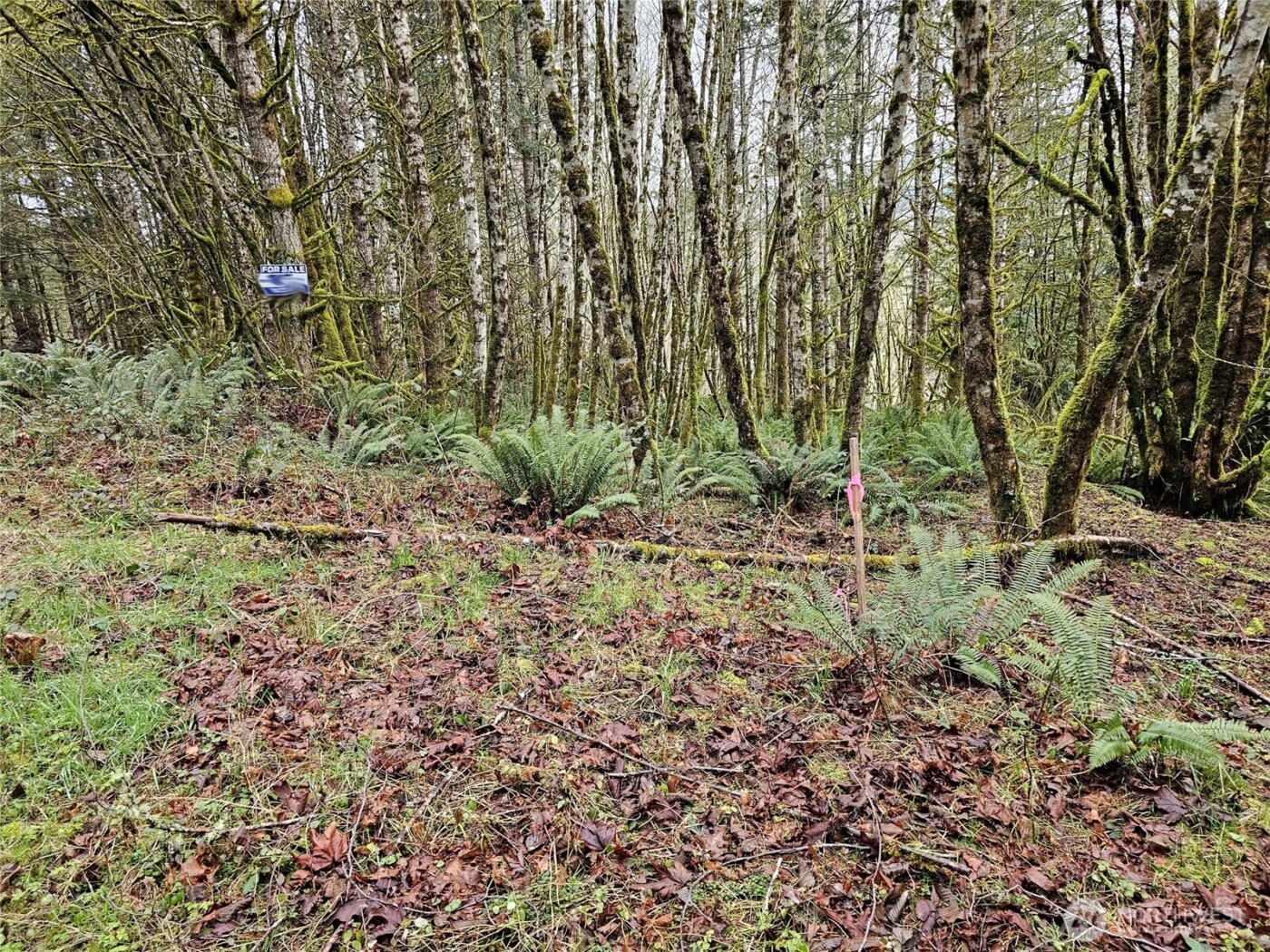 461 Clearwater Road , Kelso, WA 98626