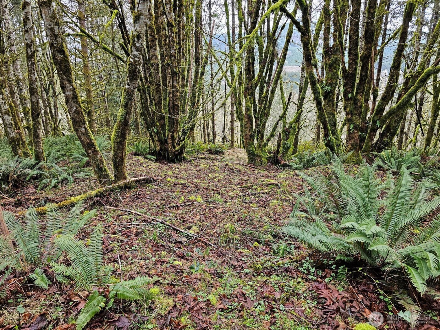 461 Clearwater Road , Kelso, WA 98626