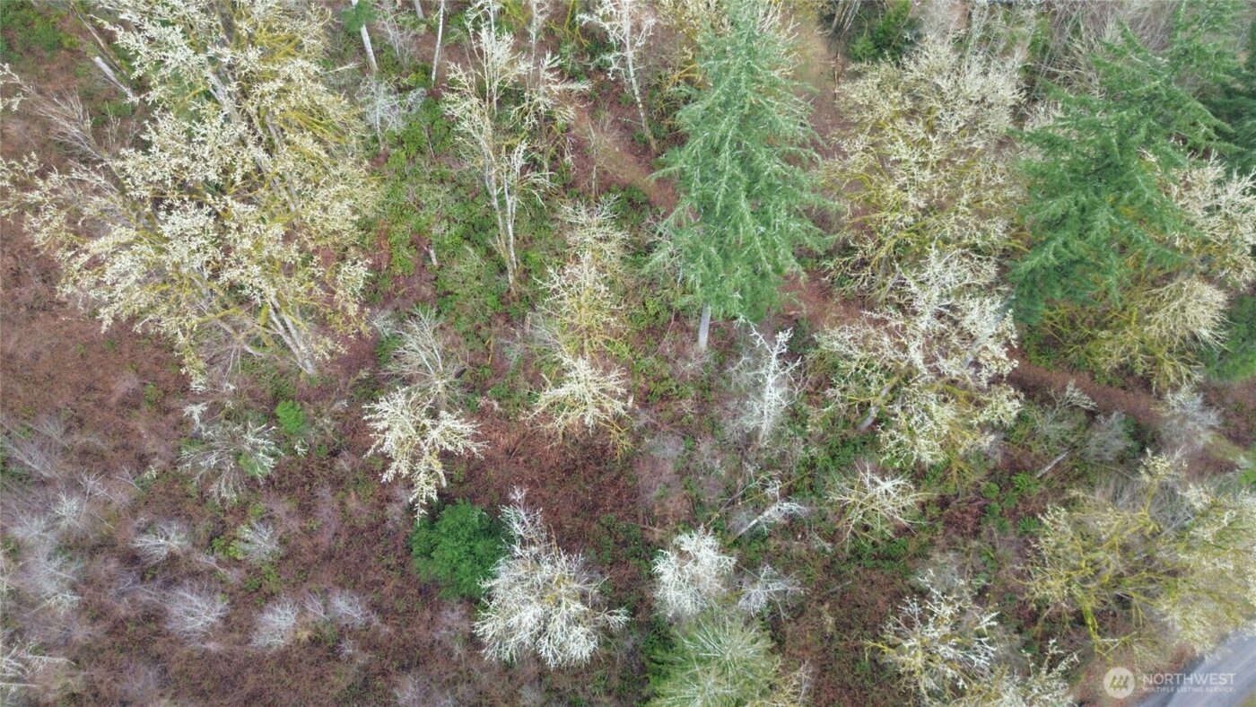 461 Clearwater Road , Kelso, WA 98626