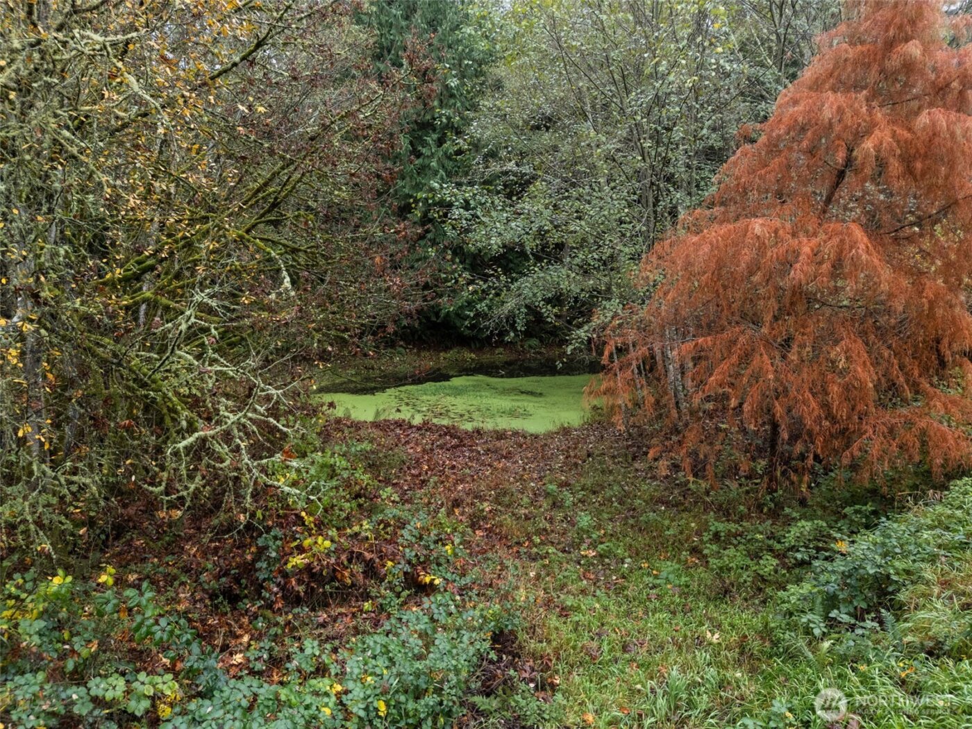 6091 NE Twin Spits Road , Hansville, WA 98340