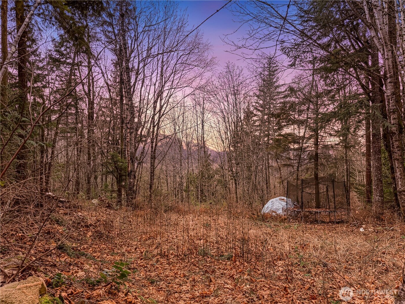 5450 Reese Hill Road , Sumas, WA 98295