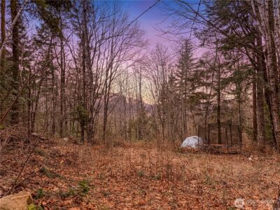 5450 Reese Hill Road , Sumas, WA 98295 - Photo 24