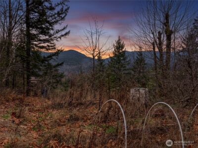 5450 Reese Hill Road , Sumas, WA 98295 - Photo 31