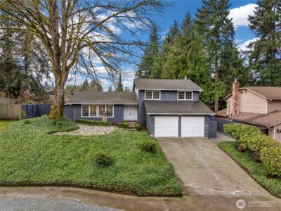 10315 163rd Avenue NE, Redmond, WA 98052 - Photo 37