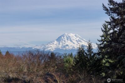 25329 103rd Avenue E, Graham, WA 98338 - Photo 40