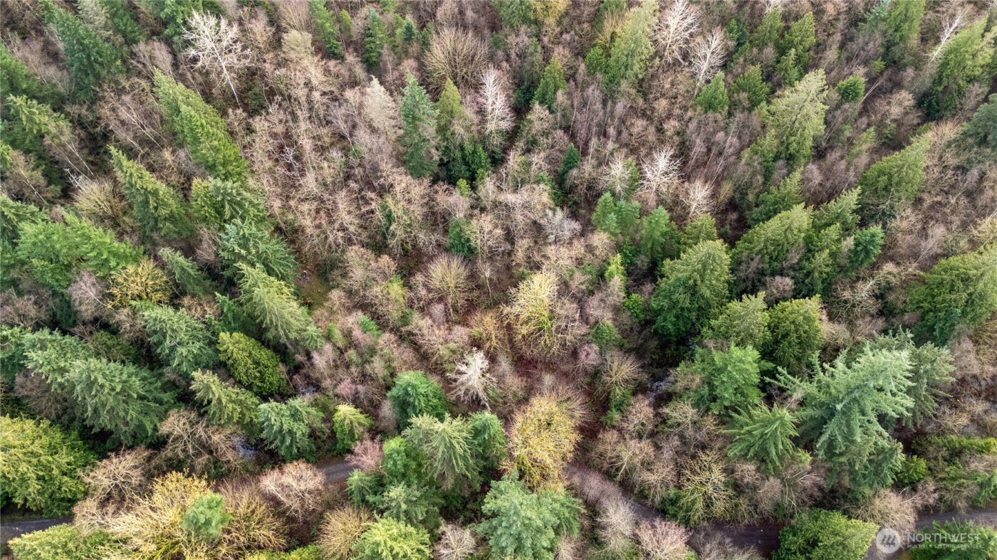 2031 Camber Lane , Blaine, WA 98230