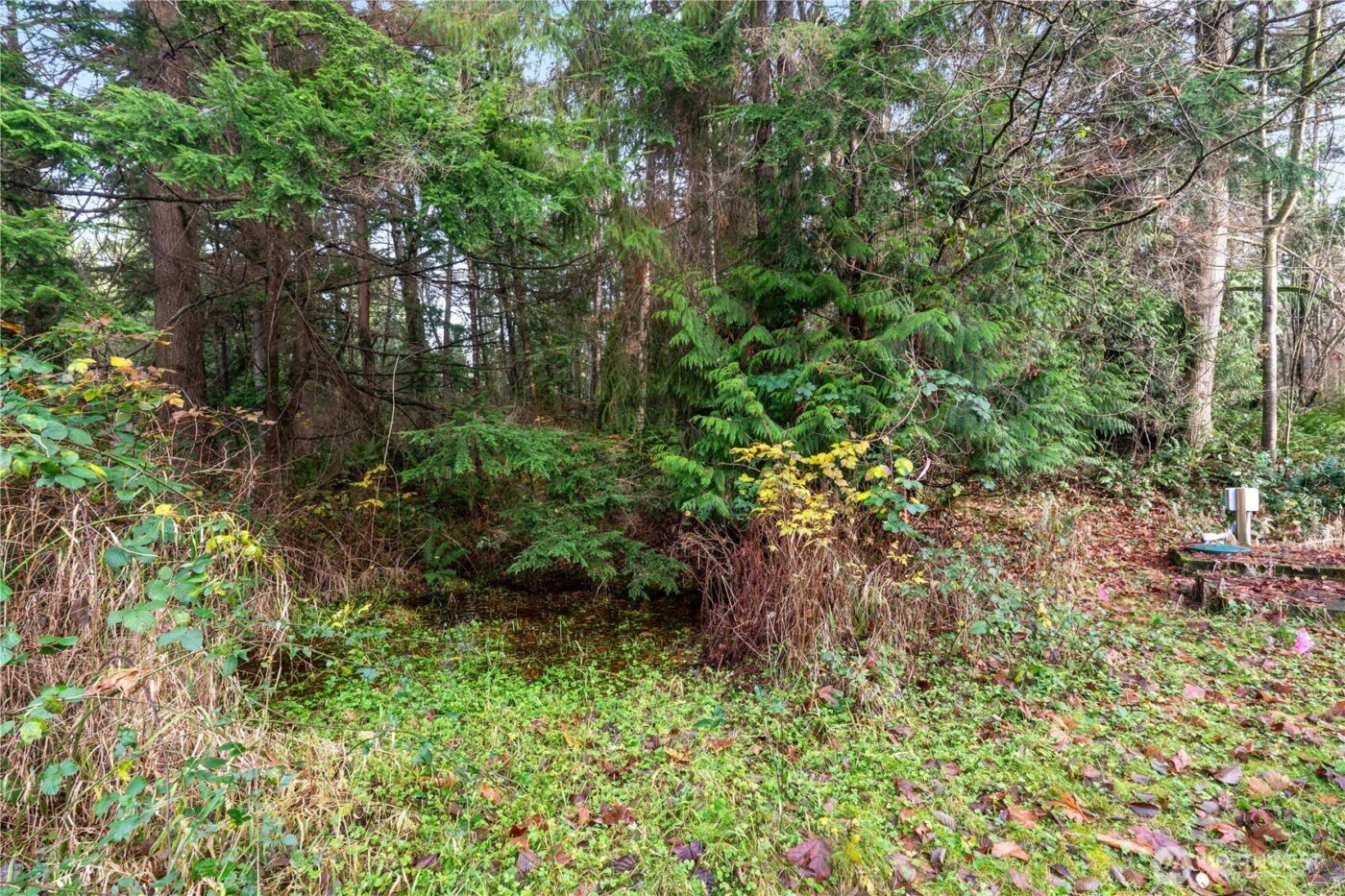 2031 Camber Lane , Blaine, WA 98230