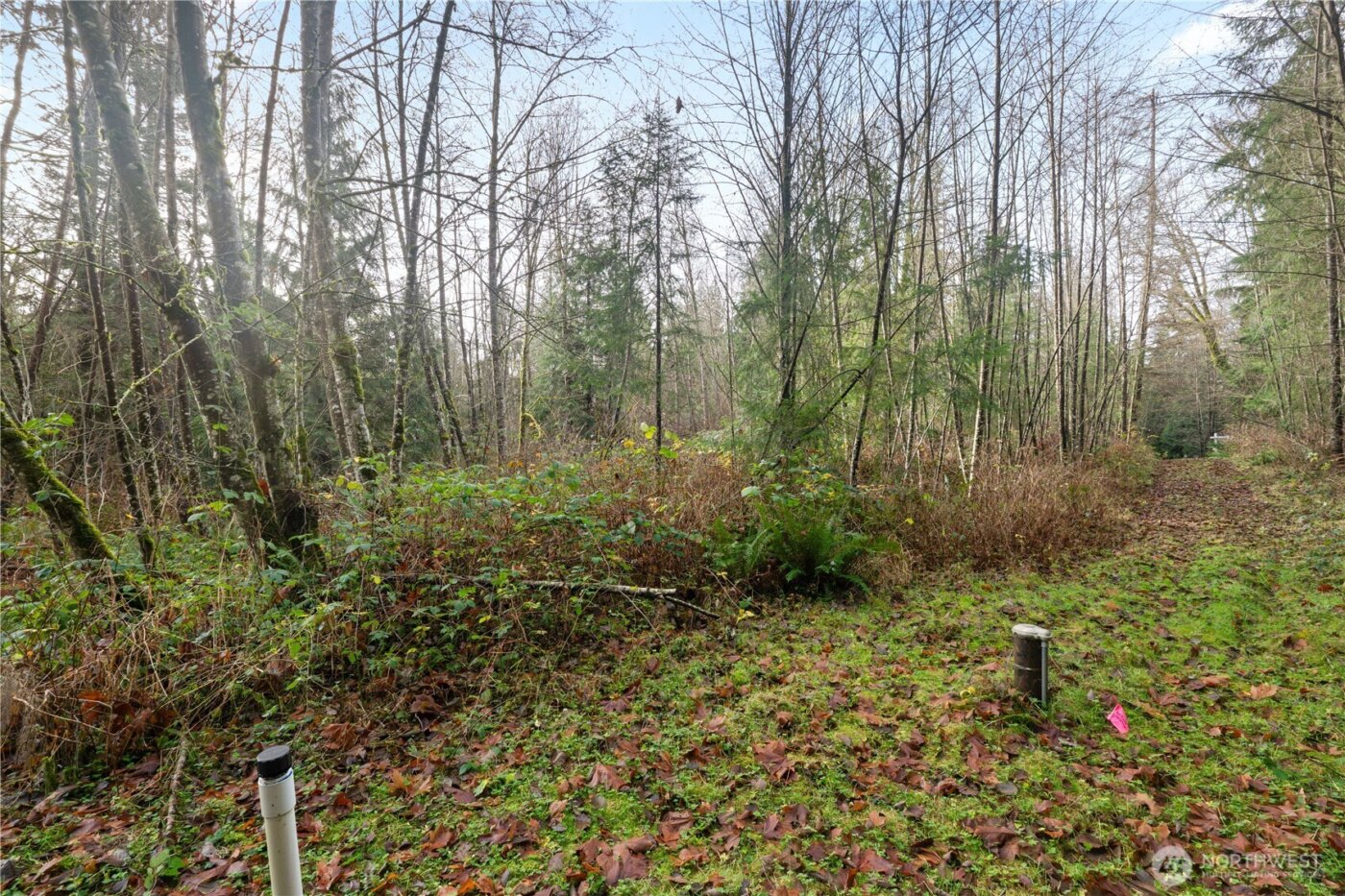 2031 Camber Lane , Blaine, WA 98230