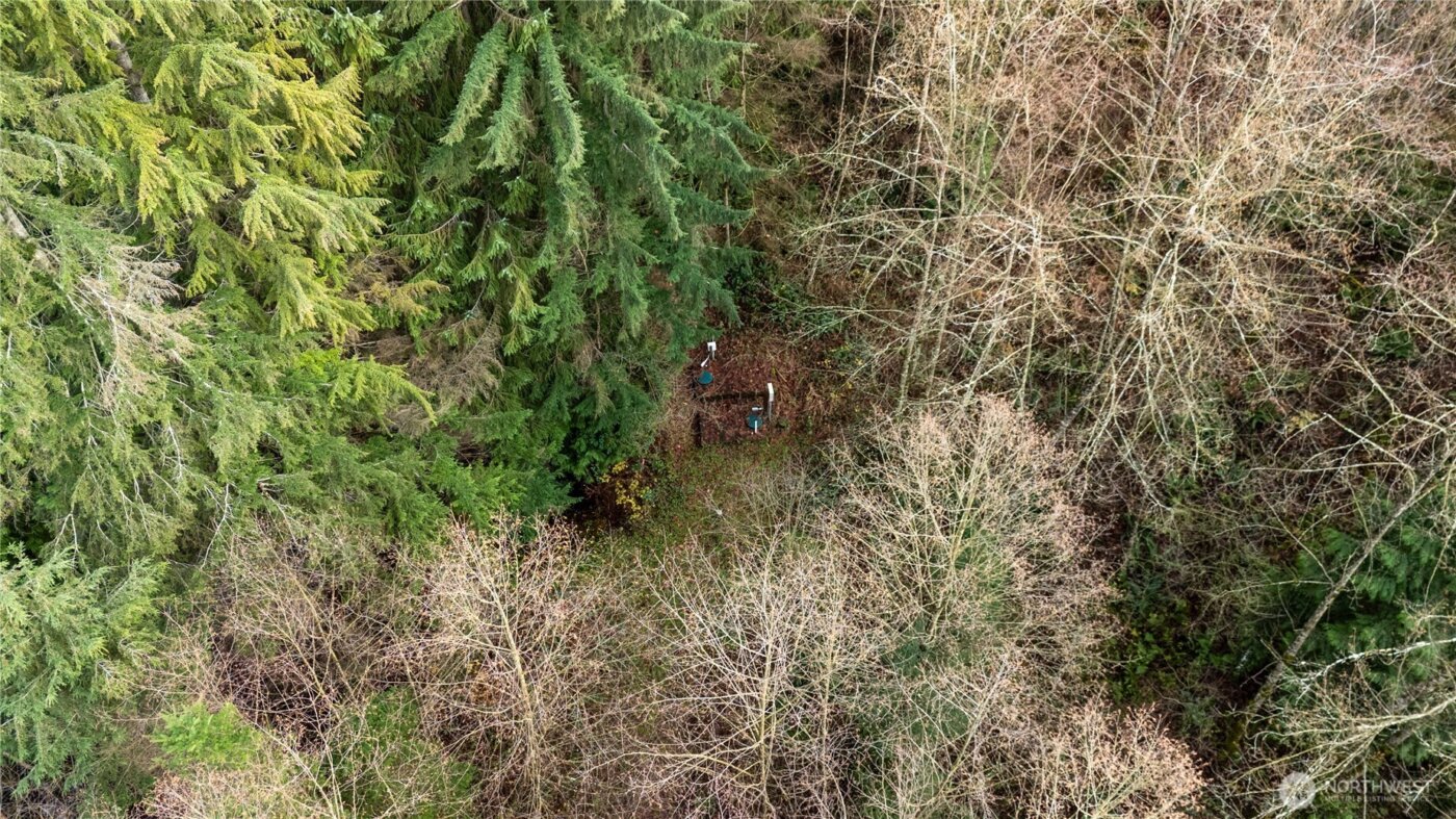 2031 Camber Lane , Blaine, WA 98230