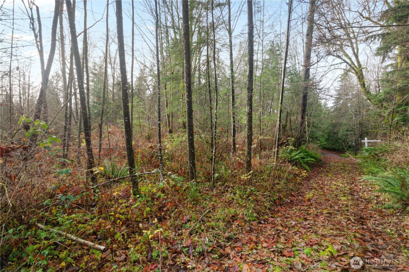 2031 Camber Lane , Blaine, WA 98230