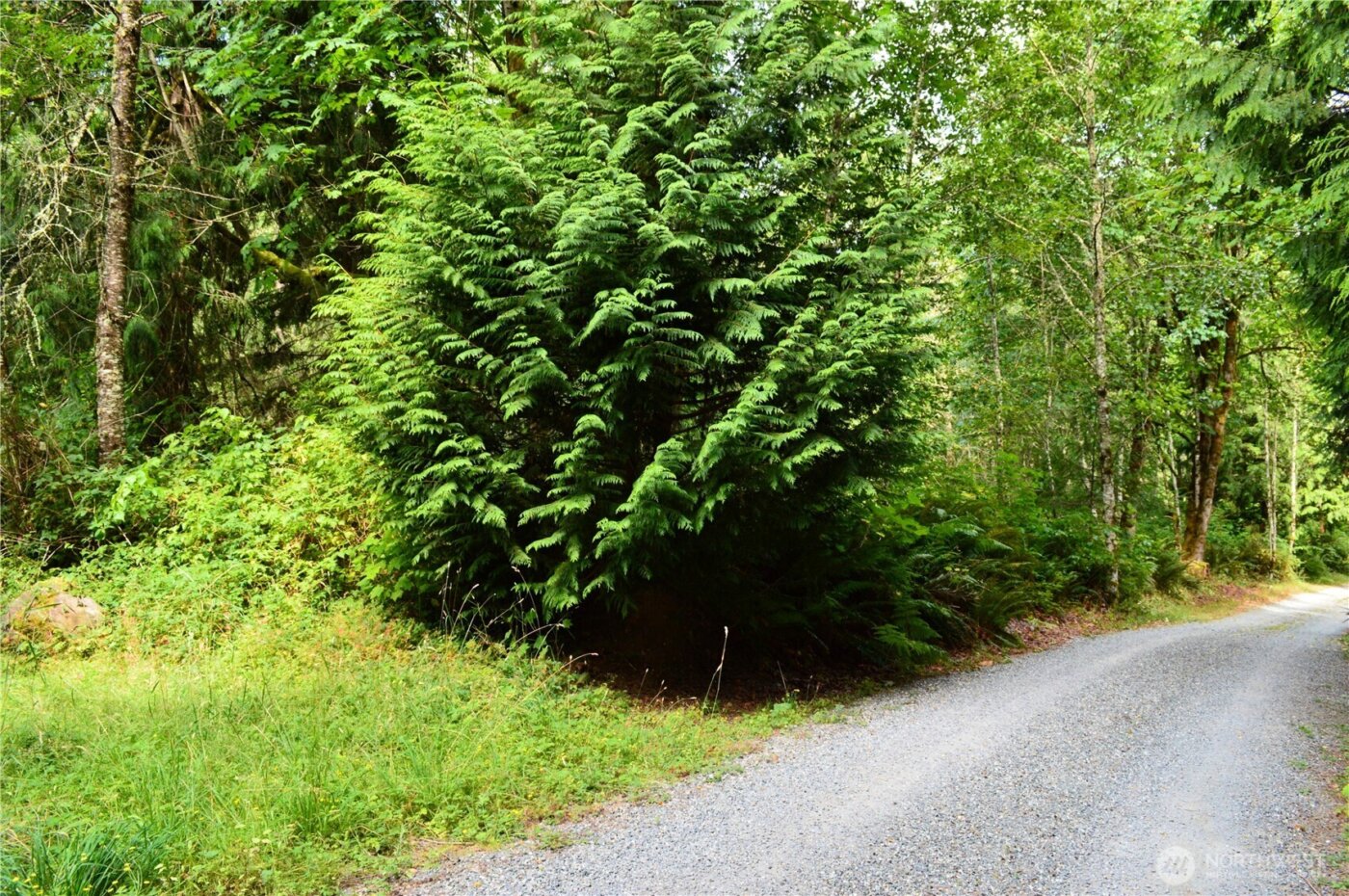 954 Kings View Lane , Sedro Woolley, WA 98284