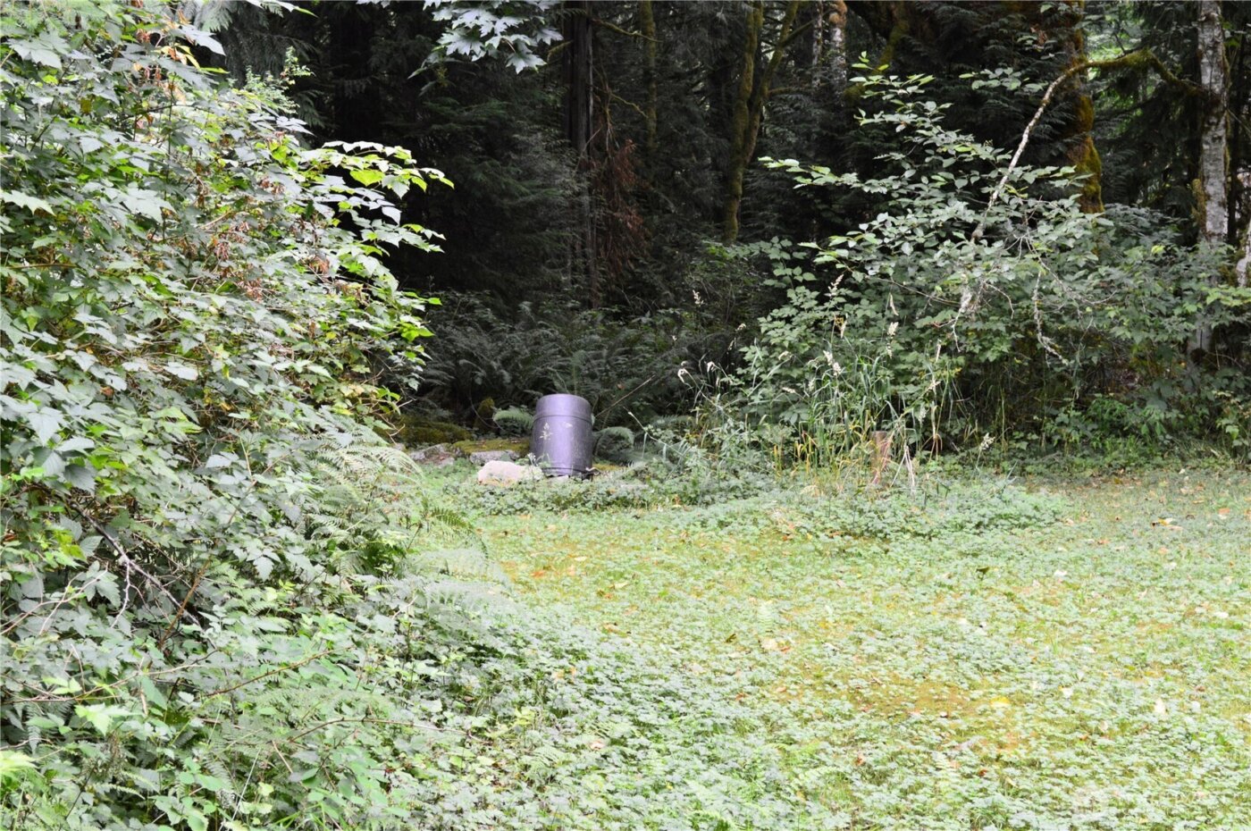 954 Kings View Lane , Sedro Woolley, WA 98284