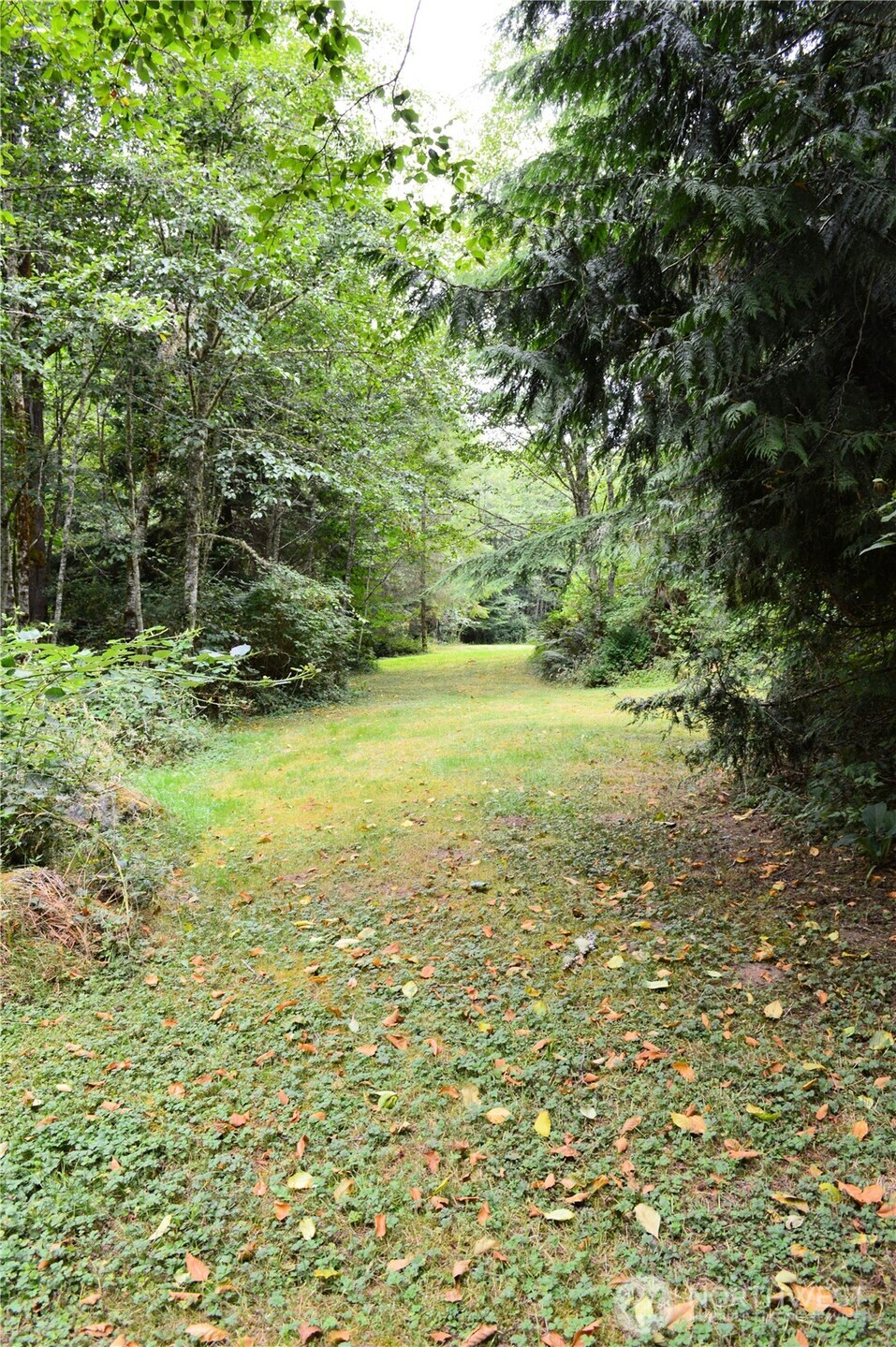 954 Kings View Lane , Sedro Woolley, WA 98284