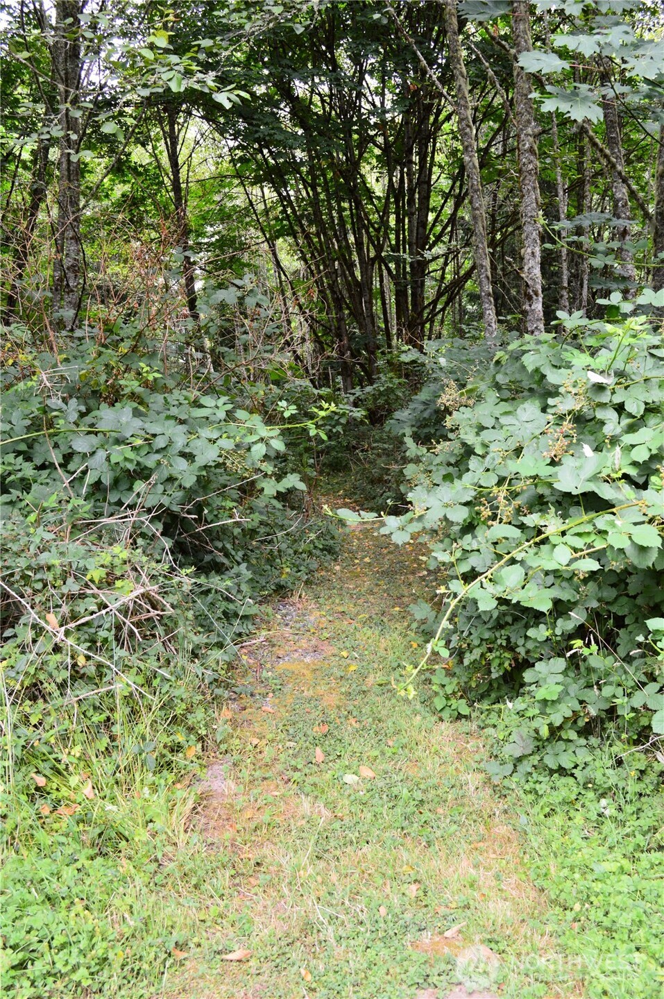 954 Kings View Lane , Sedro Woolley, WA 98284