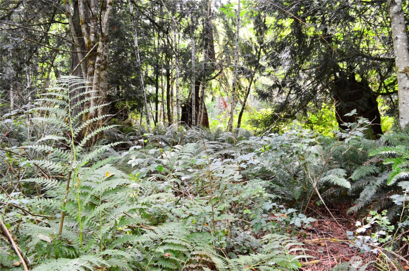 954 Kings View Lane , Sedro Woolley, WA 98284