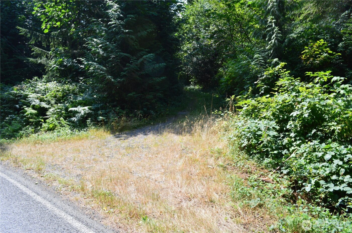 954 Kings View Lane , Sedro Woolley, WA 98284