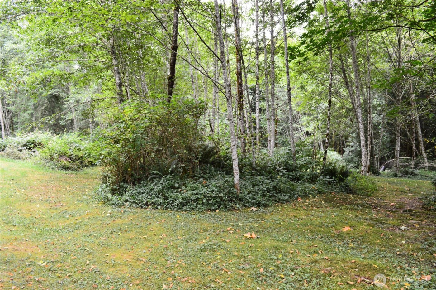 954 Kings View Lane , Sedro Woolley, WA 98284