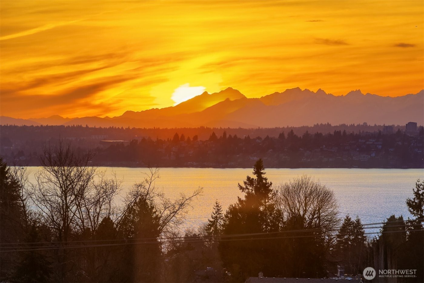 11307 NE 68th Street #11307, Kirkland, WA 98033