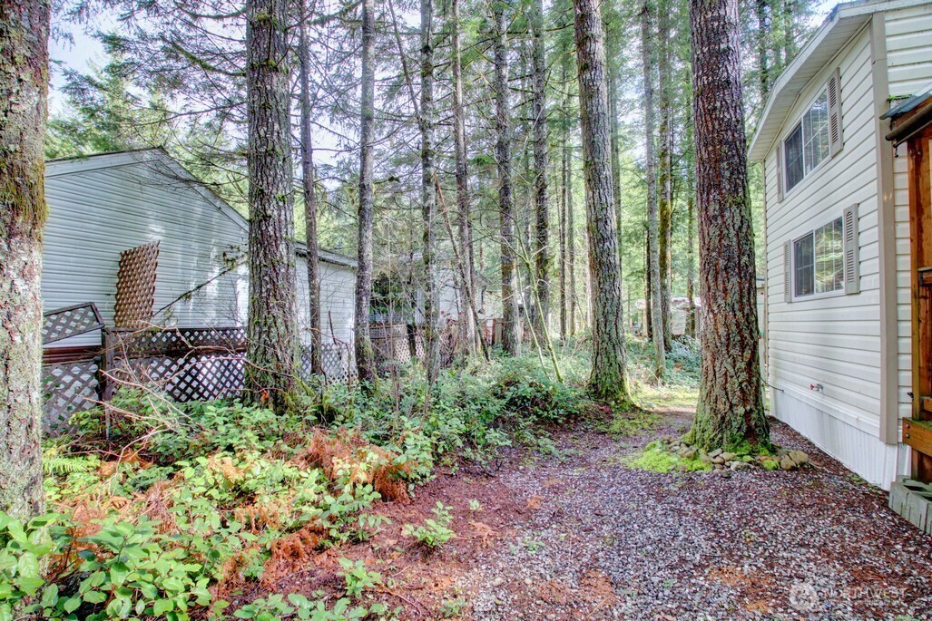 25 Drial Loop , Deming, WA 98244