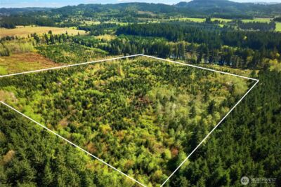 0 40 acres 185th Avenue SE, Tenino, WA 98589