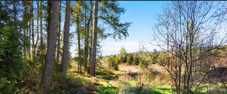 0 40 acres 185th Avenue SE, Tenino, WA 98589