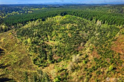 0 40 acres 185th Avenue SE, Tenino, WA 98589 - Photo 4