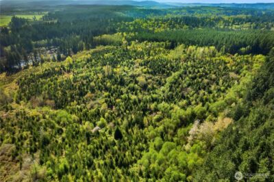 0 40 acres 185th Avenue SE, Tenino, WA 98589 - Photo 5