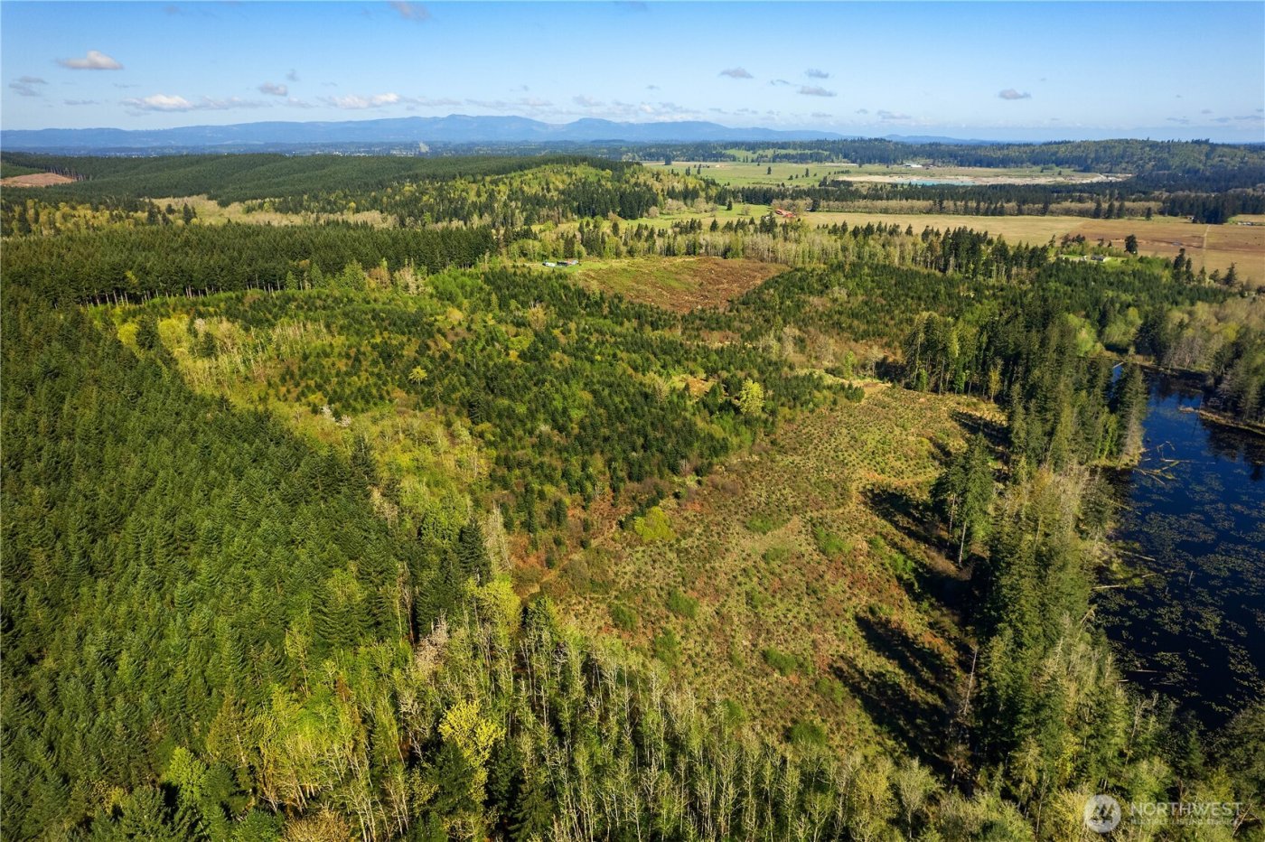 0 40 acres 185th Avenue SE, Tenino, WA 98589