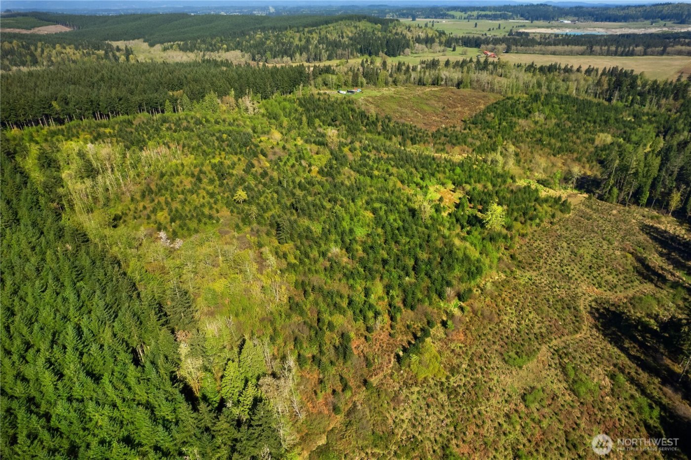 0 40 acres 185th Avenue SE, Tenino, WA 98589