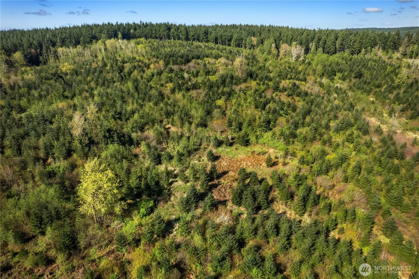 0 40 acres 185th Avenue SE, Tenino, WA 98589