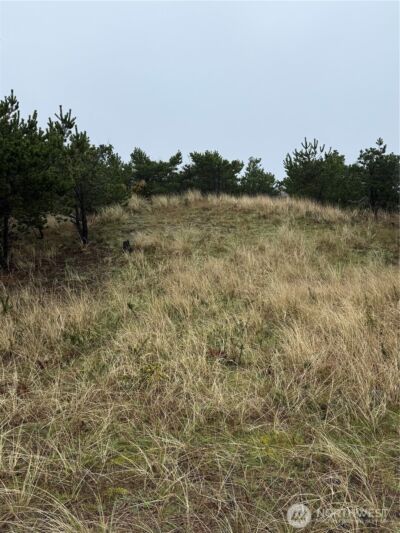 34806 I Street , Ocean Park, WA 98640 - Photo 3