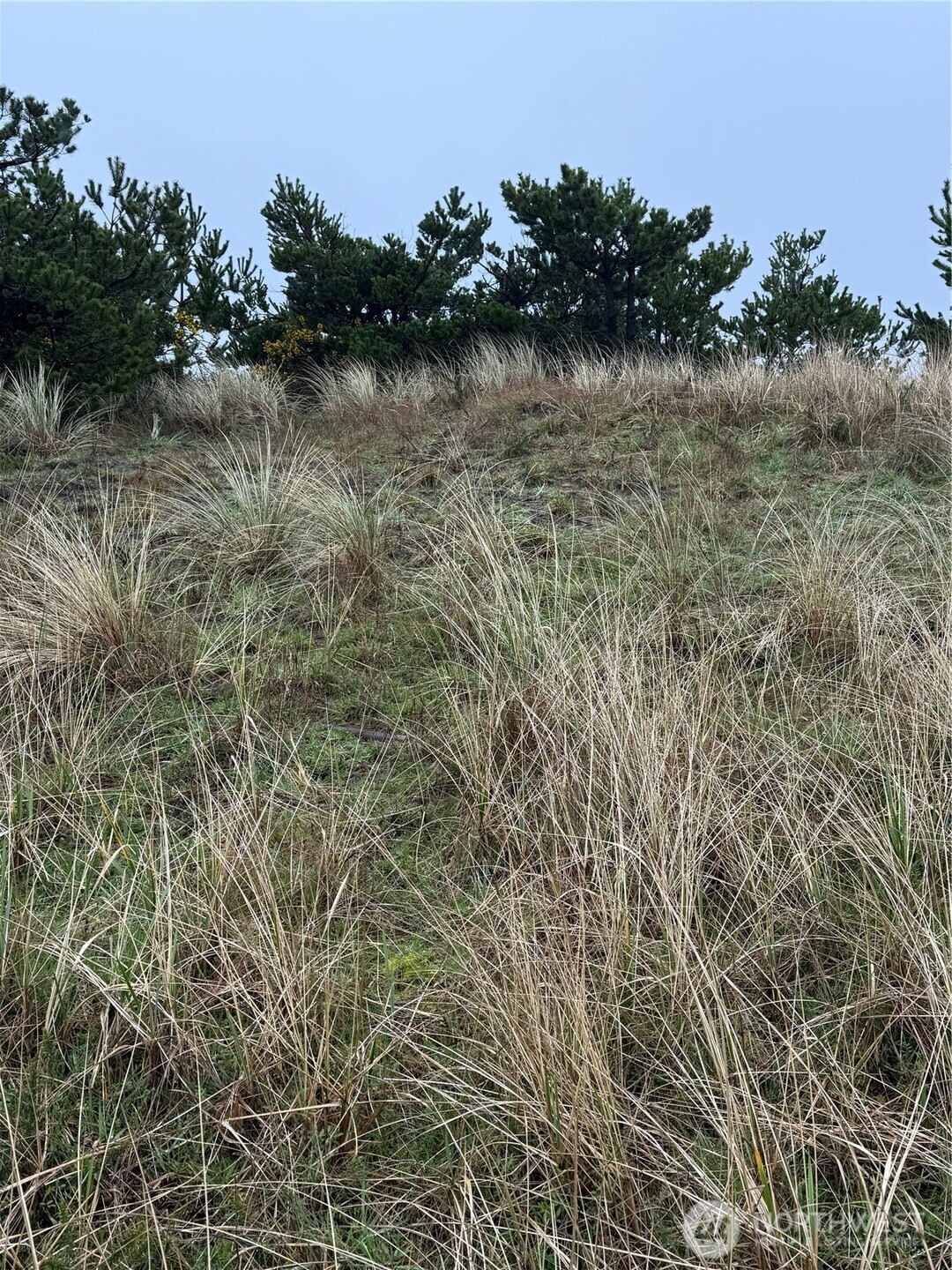 34806 I Street , Ocean Park, WA 98640