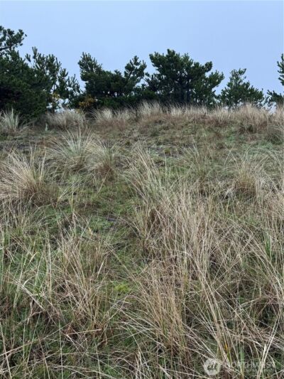 34806 I Street , Ocean Park, WA 98640 - Photo 4