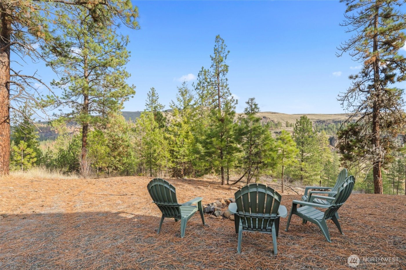 31741 Ringneck Lane E, Davenport, WA 99122