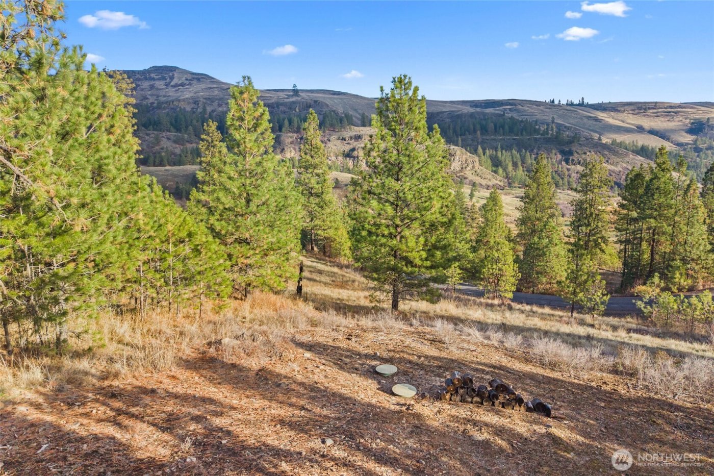 31741 Ringneck Lane E, Davenport, WA 99122