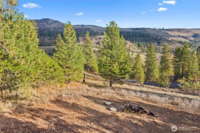 31741 Ringneck Lane E, Davenport, WA 99122 - Photo 28