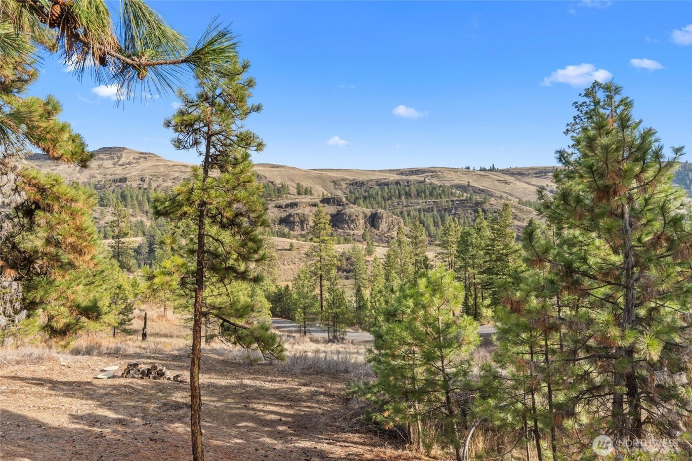 31741 Ringneck Lane E, Davenport, WA 99122