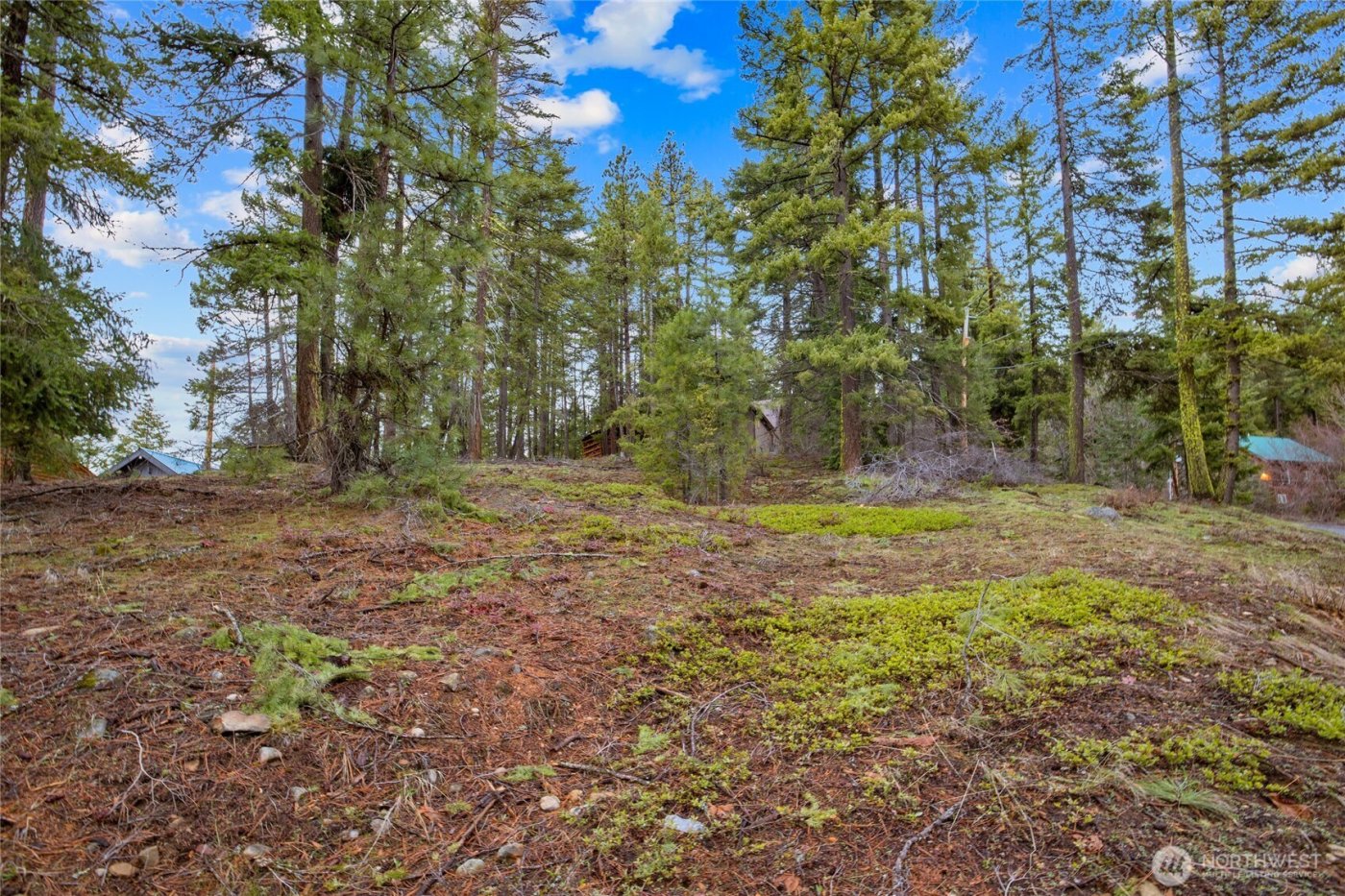 0 Lot 12 Pine Loch Sun Drive , Ronald, WA 98940