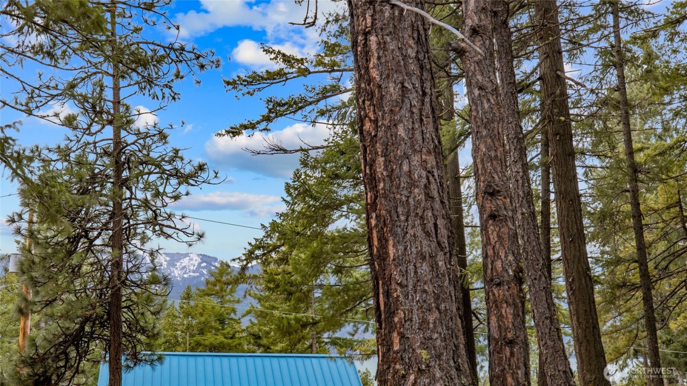 0 Lot 12 Pine Loch Sun Drive , Ronald, WA 98940