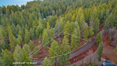 0 Lot 12 Pine Loch Sun Drive , Ronald, WA 98940 - Photo 13