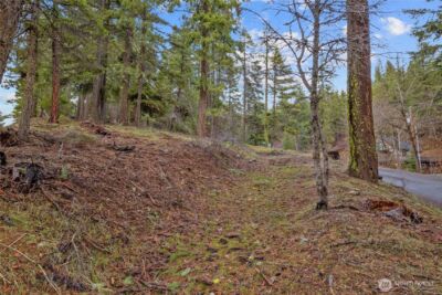 0 Lot 12 Pine Loch Sun Drive , Ronald, WA 98940 - Photo 6