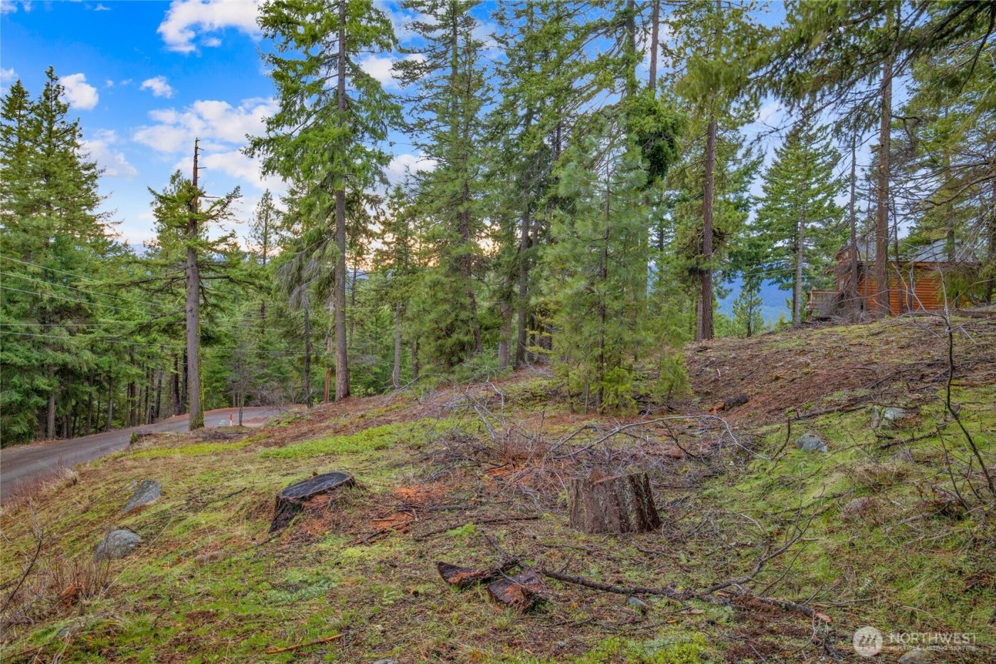 0 Lot 12 Pine Loch Sun Drive , Ronald, WA 98940