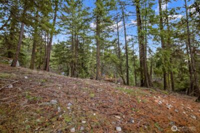 0 Lot 12 Pine Loch Sun Drive , Ronald, WA 98940 - Photo 8