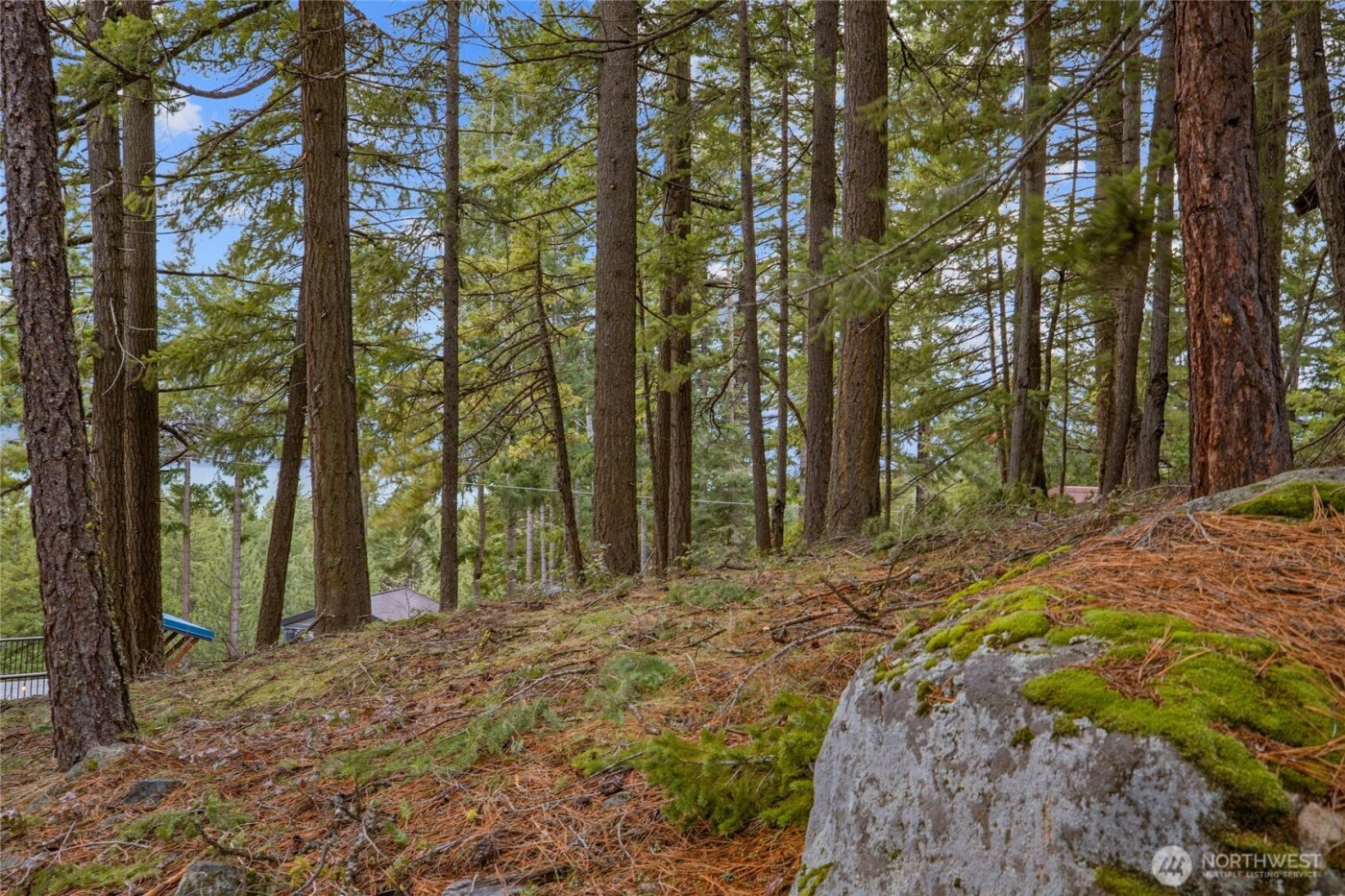 0 Lot 12 Pine Loch Sun Drive , Ronald, WA 98940